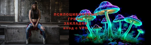 мяу мяу кристалл Няндома